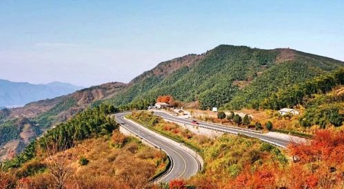 馳騁浙里，挑戰自我 浙江三條絕美盤山公路與鐵路隔離柵的守護